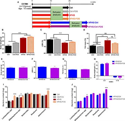 Prebiotics Supplementation Impact on the Reinforcing and Motivational Aspect of Feeding